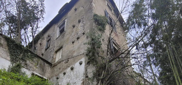 Diagnostic-structure-maison-ancienne-bearn-Watsonn2